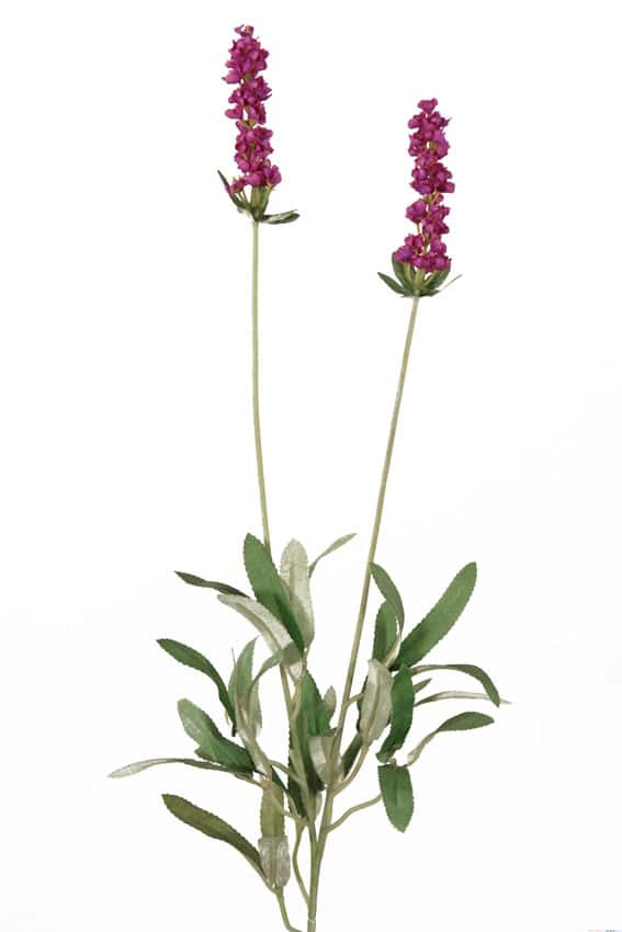 Lavanda lila - 68cm