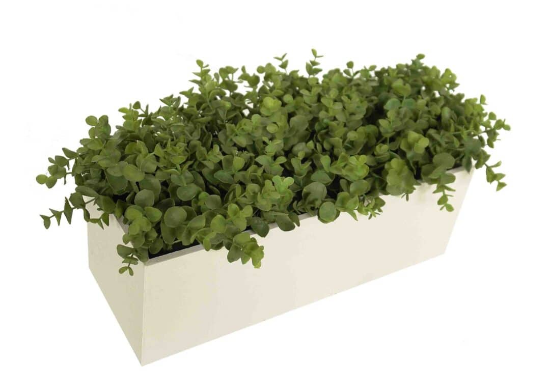 White box eucaliptus verde - 40x15x22cm