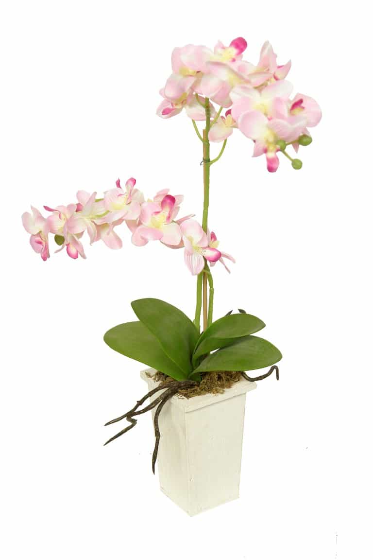 OrquIdea rosa base madera - 8x8x50cm
