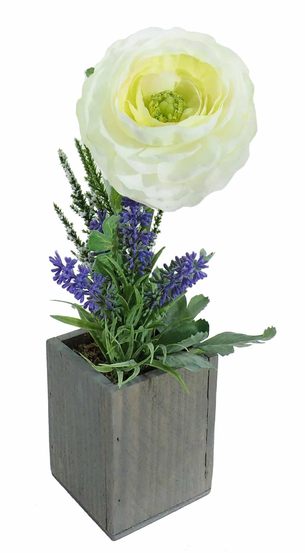 Ranunculo crema base mad.gris - 8x8x29cm