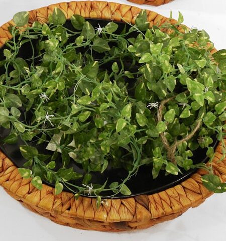 Cesta redonda de fibra natural trenzada - Ø26x8cm