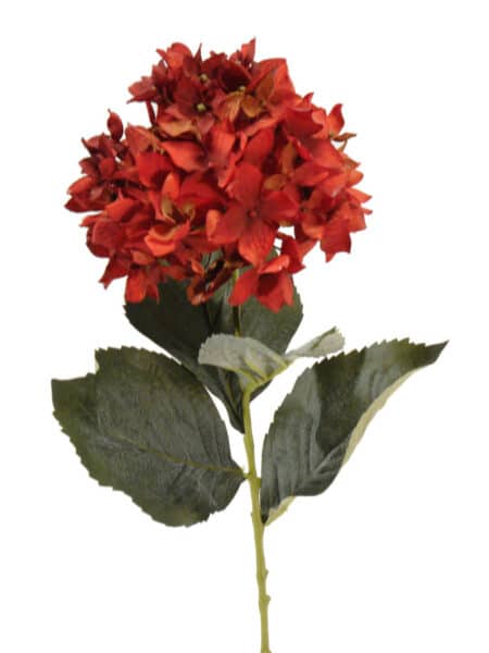 Hortensia Roma Roja/Naranja - Ø16x72cm