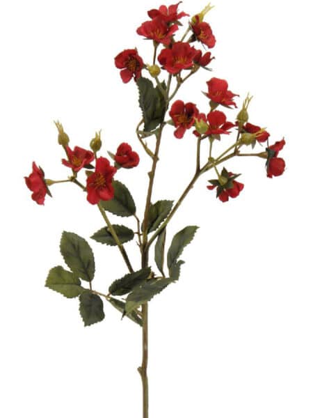 Rosita Roma roja - 65cm