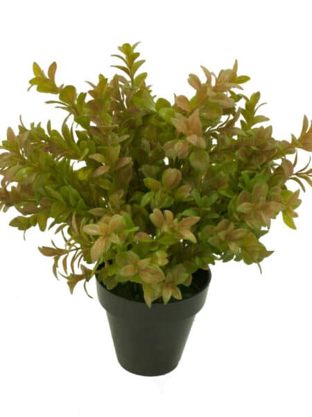 Boj otoñal plastico con maceta -30cm.