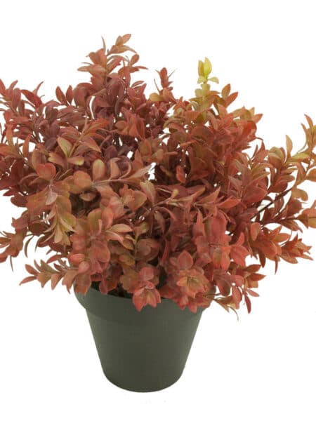 Boj rojo plastico con maceta -30cm.