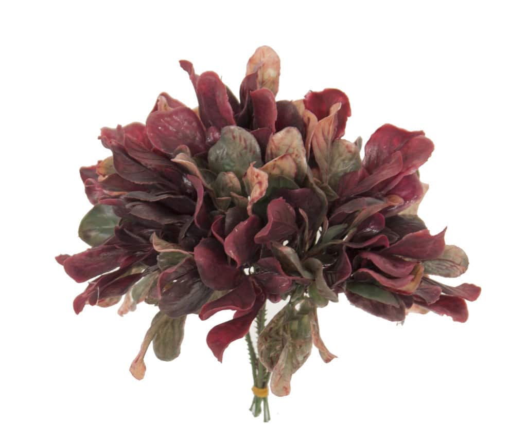 Pick de lechuga roja(6 picks) - 19cm