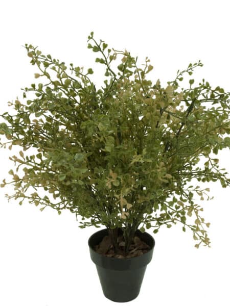 Crasula vde/otoñal plastico con maceta -35cm.