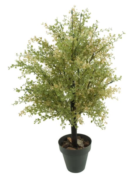 Crasula vde/otoñal plastico con maceta -65cm.
