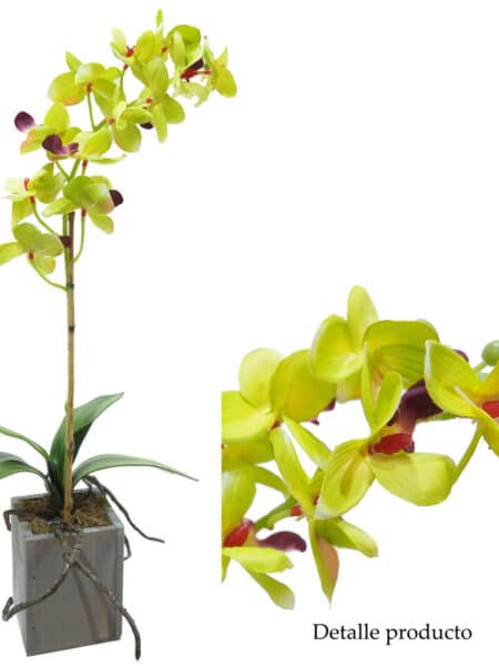 Orquídea verde base madera gris - 8x8x45cm.