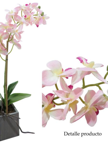 Orquídea rosa base madera gris - 8x8x45cm.