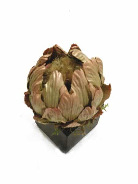 Black box Protea verde - 8x8x17cm