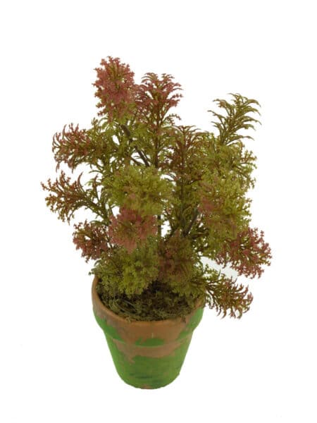 M/MV Selaginella otoñal maceta musgo - Ø9x30cm