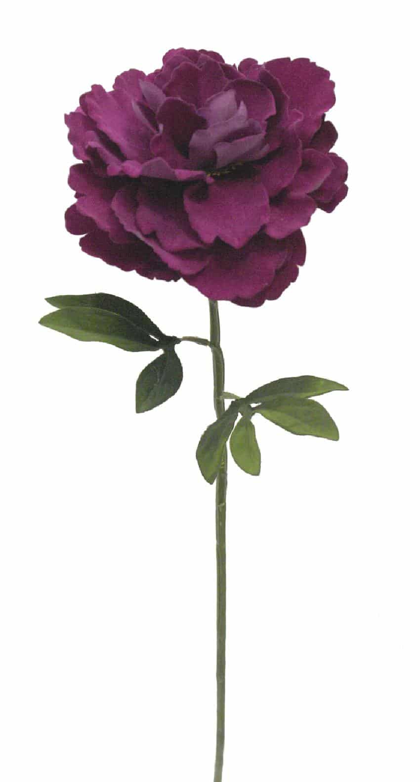 Peonia Velvet lila - Ø16x73cm